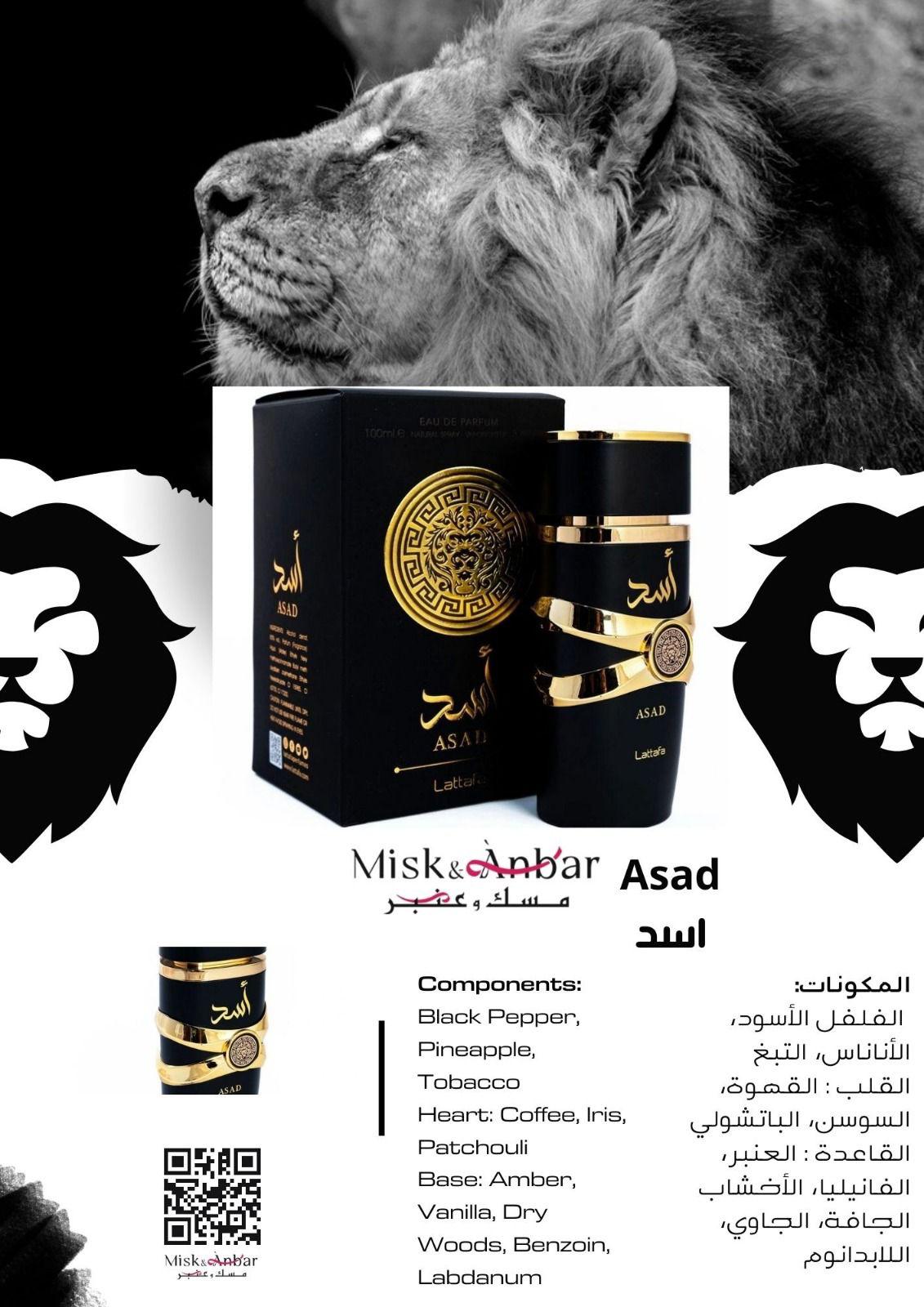 Lattafa Asad 100 ml – Ein Unisex-Duft für Alle